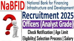 NaBFID Recruitment 2025