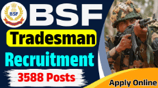 BSF 